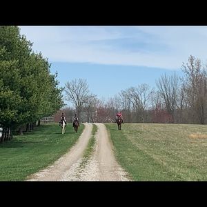 Meet your Posher, Molly